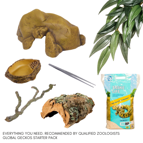 Corn Snake Decor Pack GGSKCSDP GlobalGeckos.co.uk